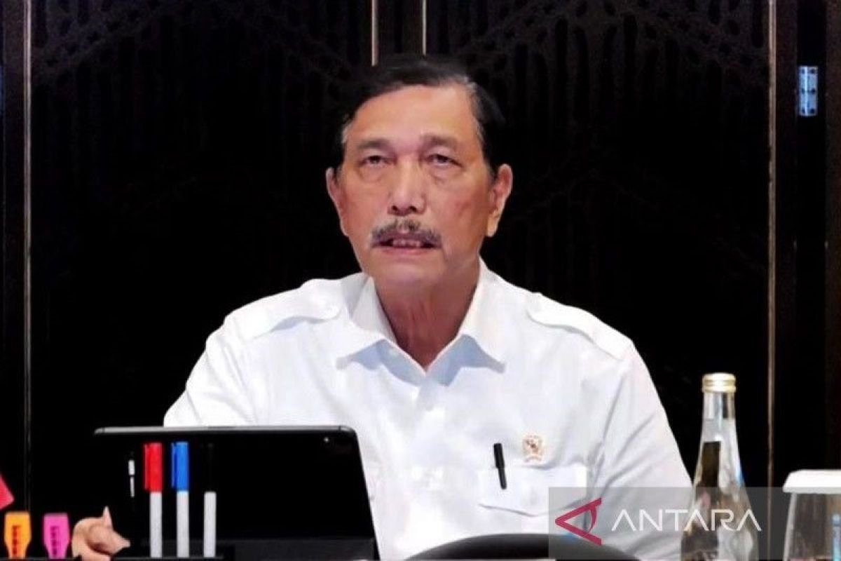 Luhut minta lansia tak keluar rumah sebulan ke depan