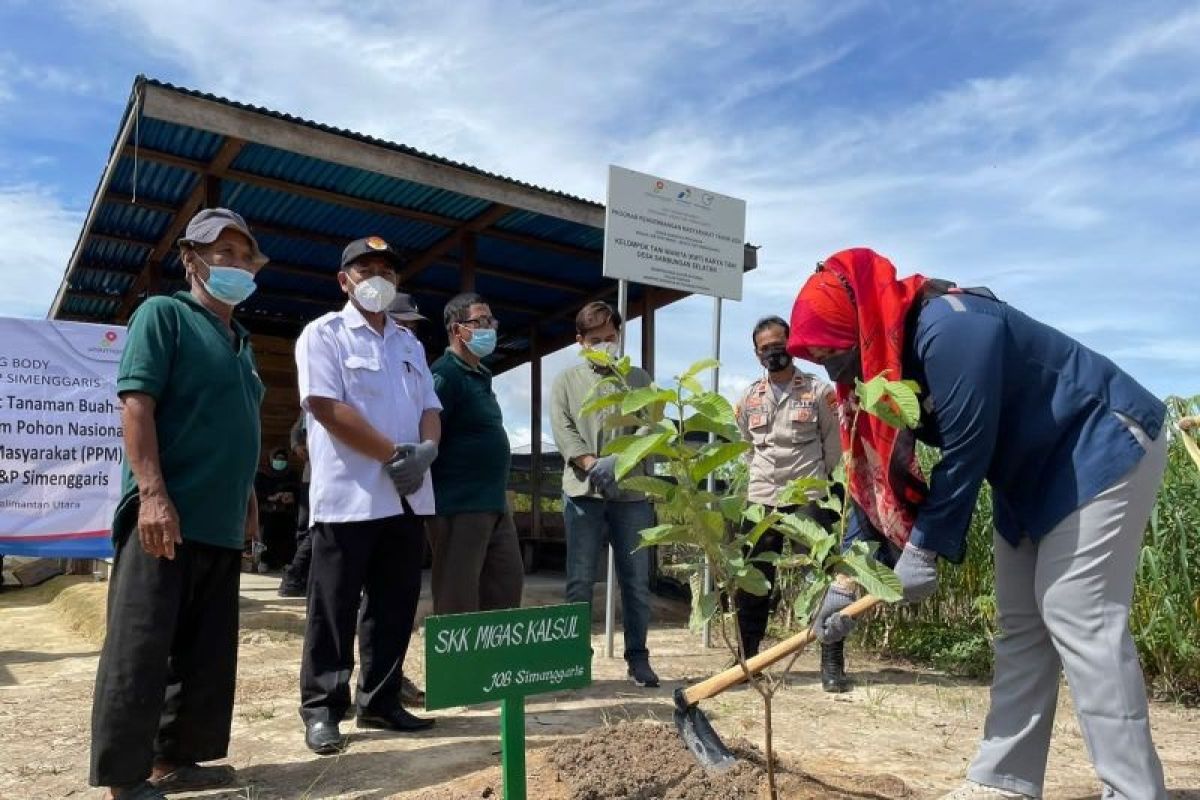 SKK Migas canangkan minimum tanam 1,7 juta pohon sepanjang 2022