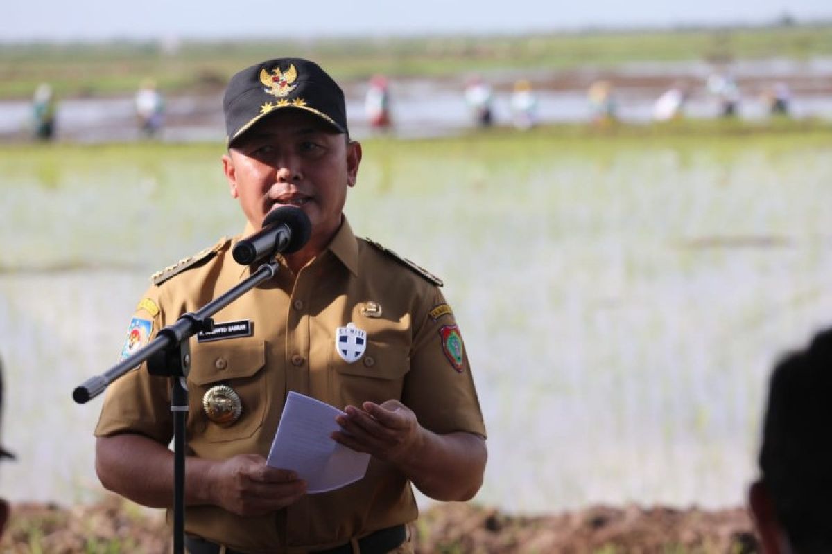 Gubernur berkomitmen wujudkan Kalteng mandiri benih padi
