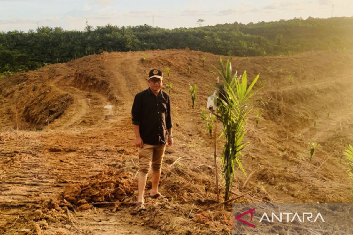 Pemkab Nagan Raya usulkan peremajaan 3.300 ha kebun sawit ke Kementan