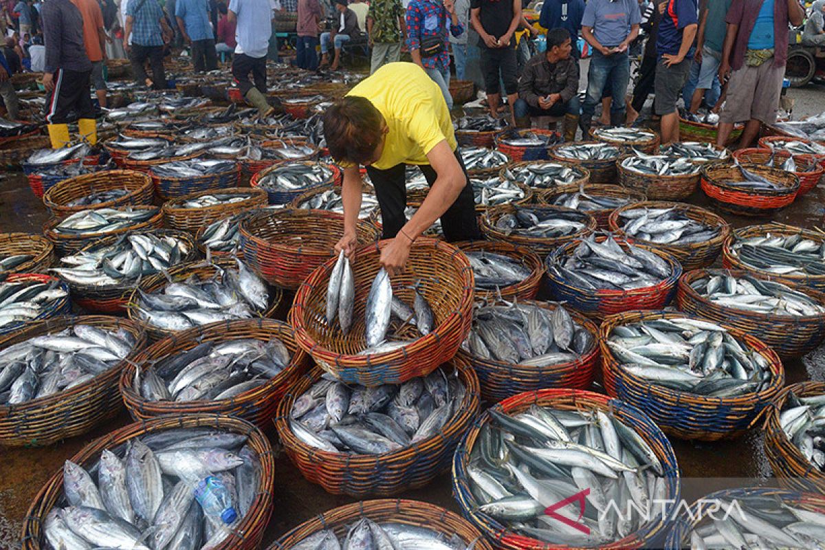KKP siapkan petugas verifikator pengolah data penangkapan ikan terukur