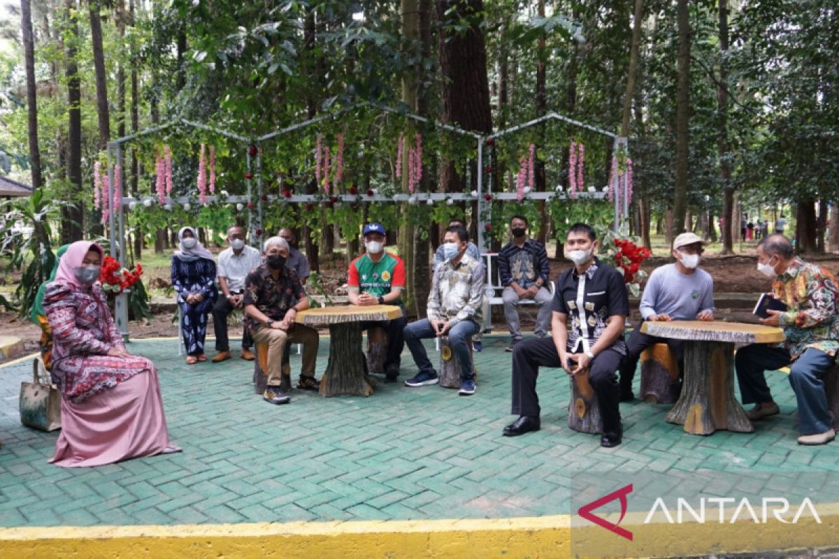 Pemkot Banjarbaru jadikan Hutan Pinus Mentaos  tempat prewedding