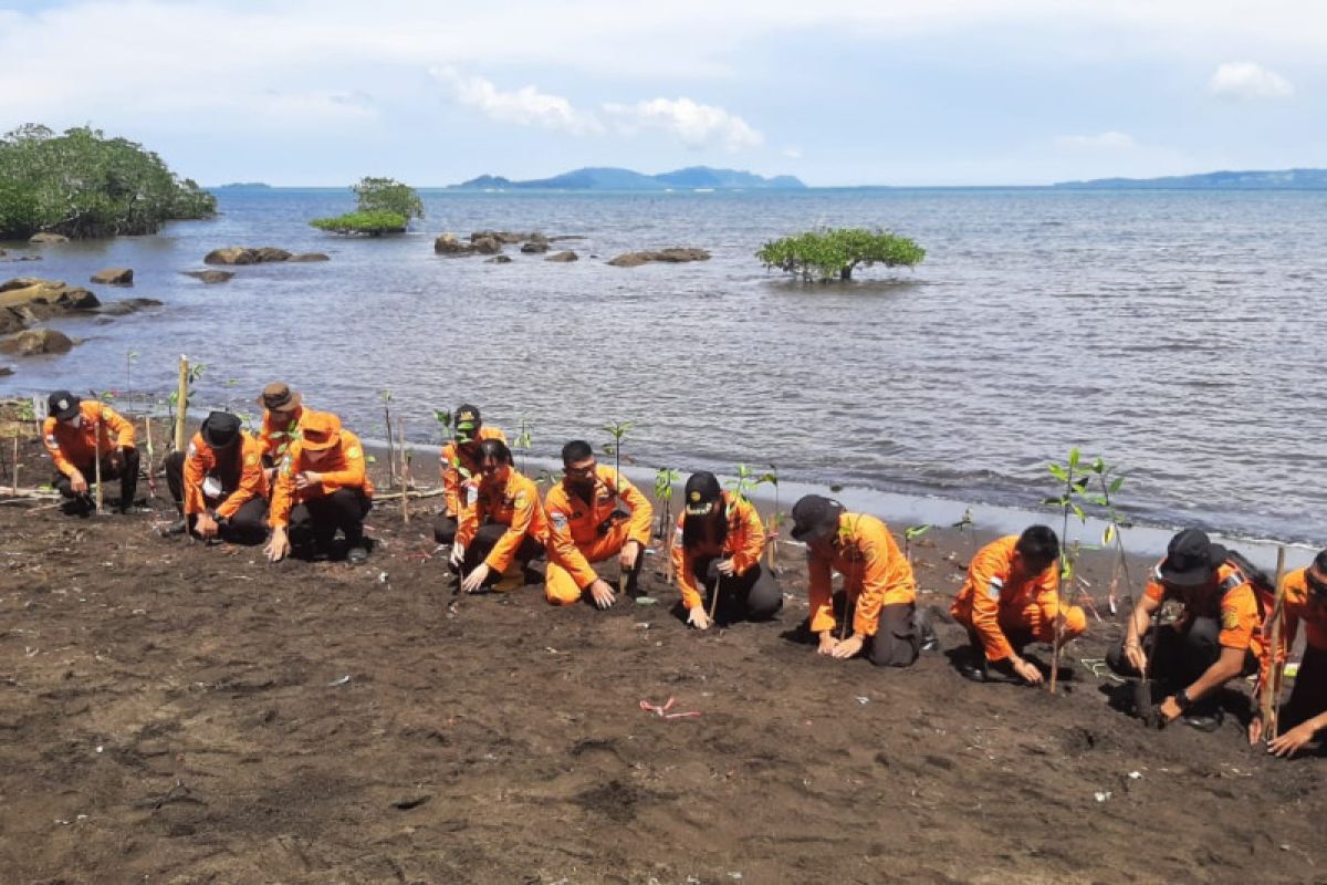 Basarnas Manado tanam ratusan pohon bakau di Pantai Likupang