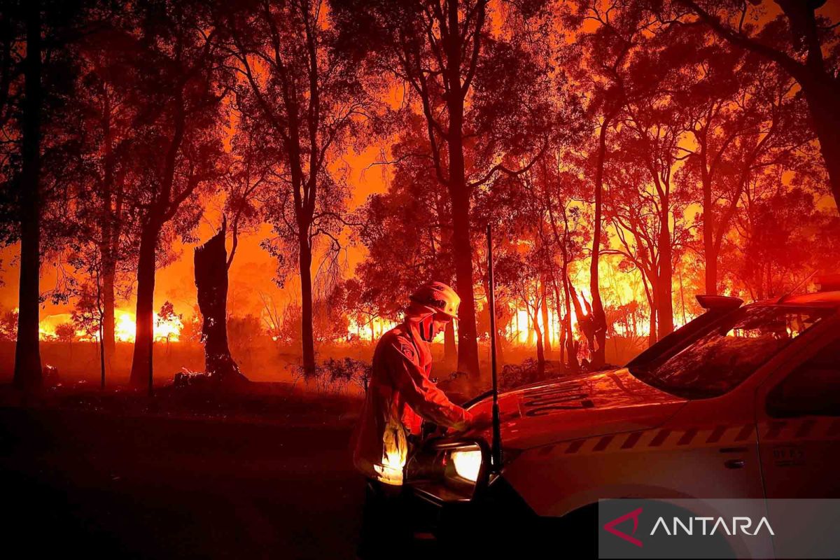 Sebagian besar Australia didera gelombang panas, risiko karhutla naik