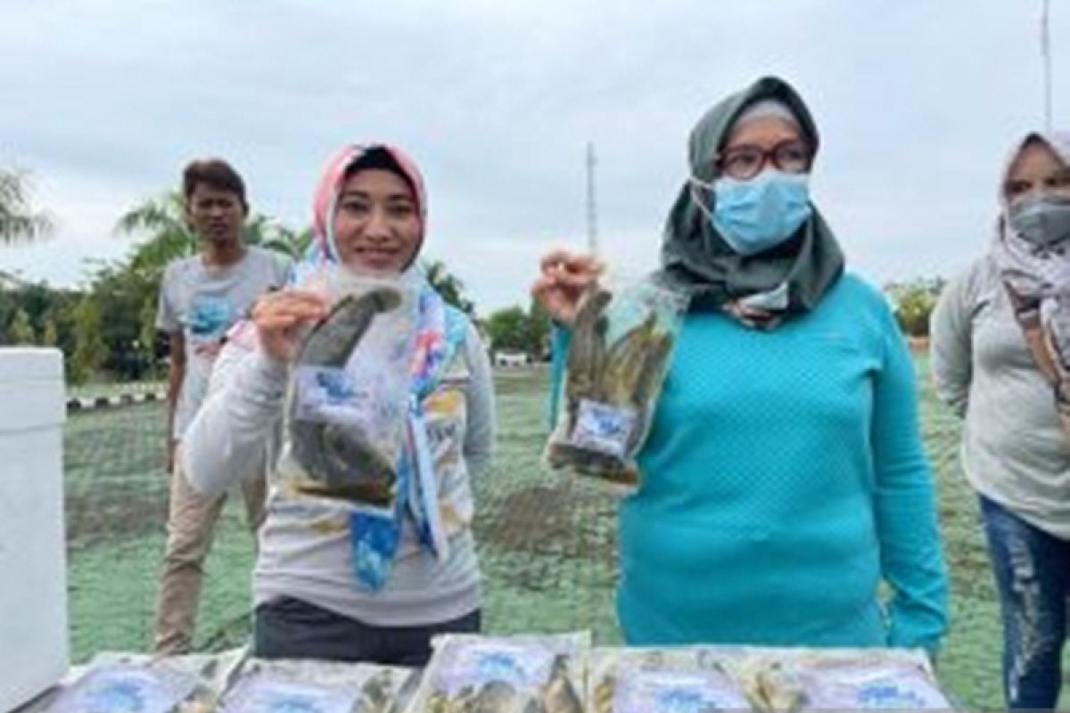 Tanah Bumbu provides catfish processing training to builds community