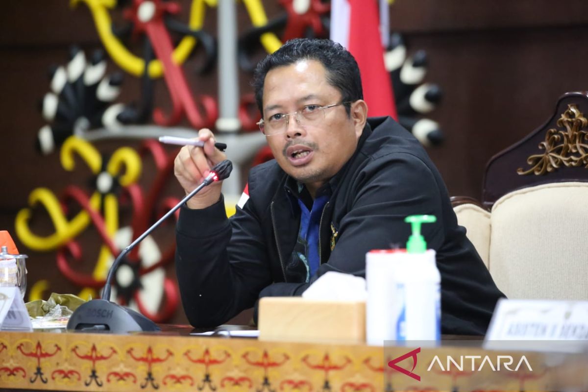 Mahyudin imbau Pemda Kalteng manfaatkan fungsi pengawasan DPD