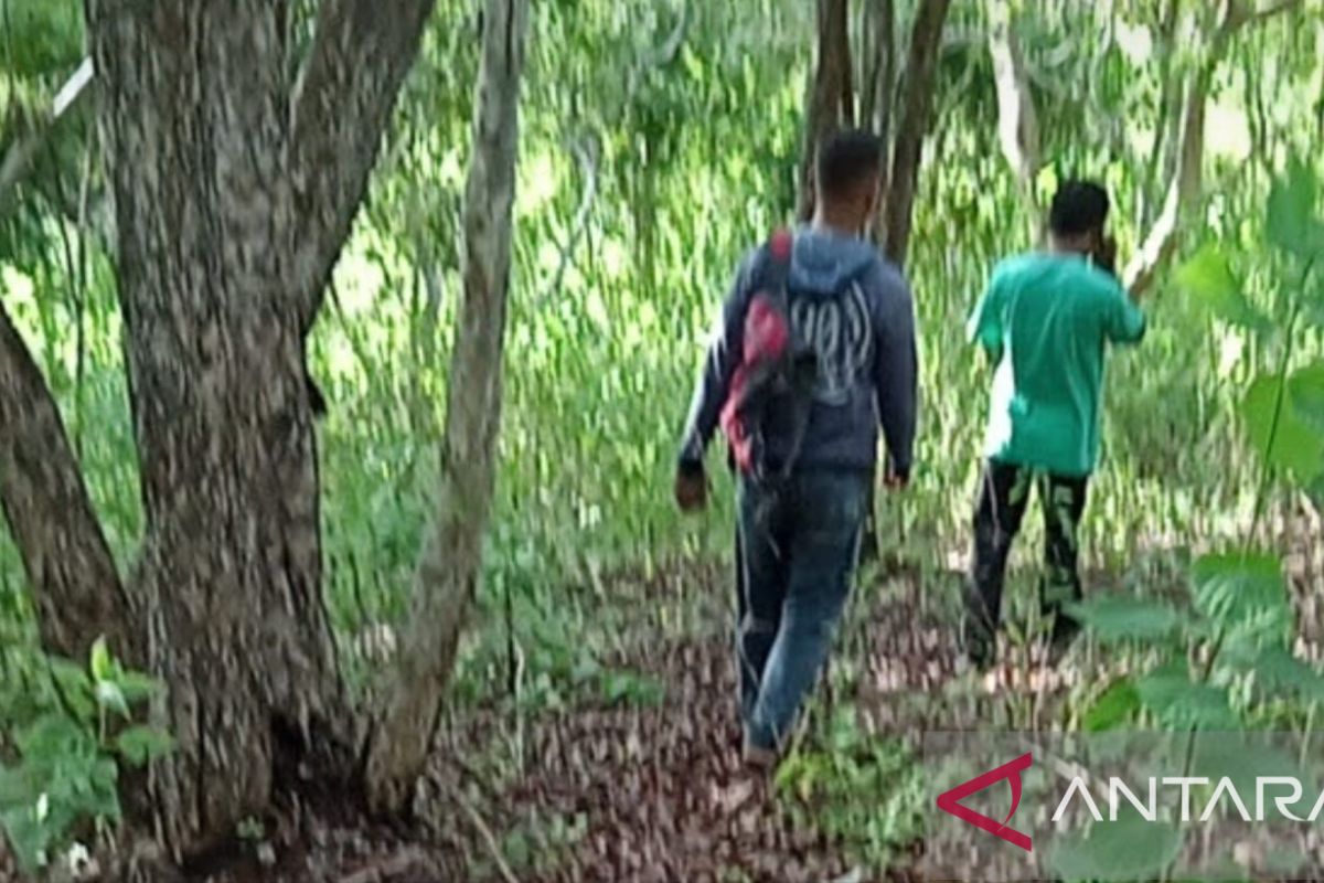 Hutan Lindung Latimojong di Tana Toraja peroleh legalitas dari MA