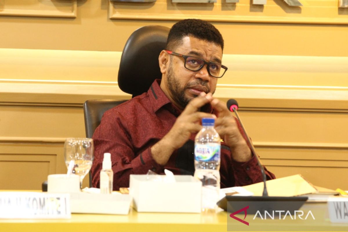 Anggota DPD harap pemekaran Papua tidak menciptakan kemiskinan baru