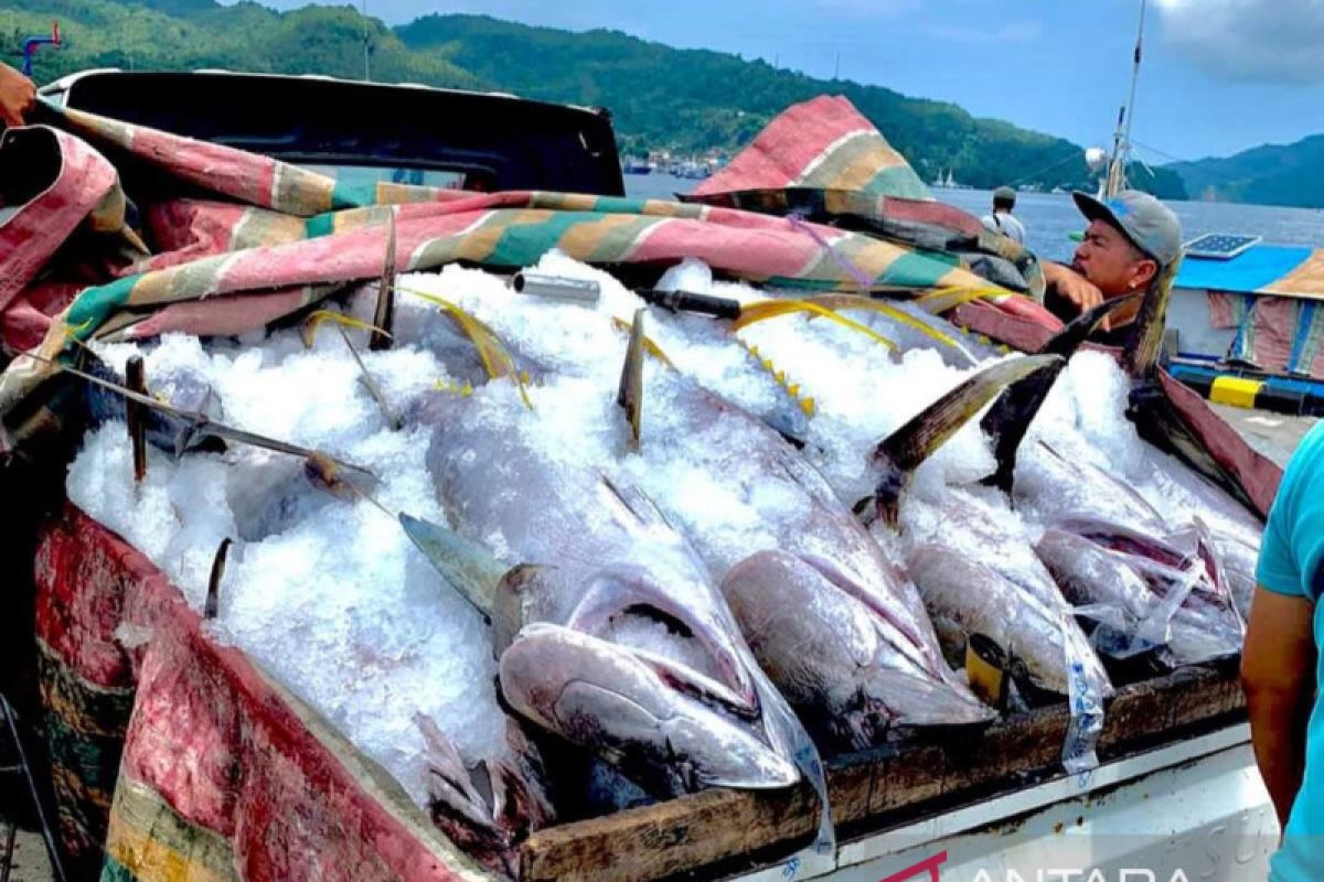 Tingkat kesejahteraan nelayan Sulawesi Utara membaik