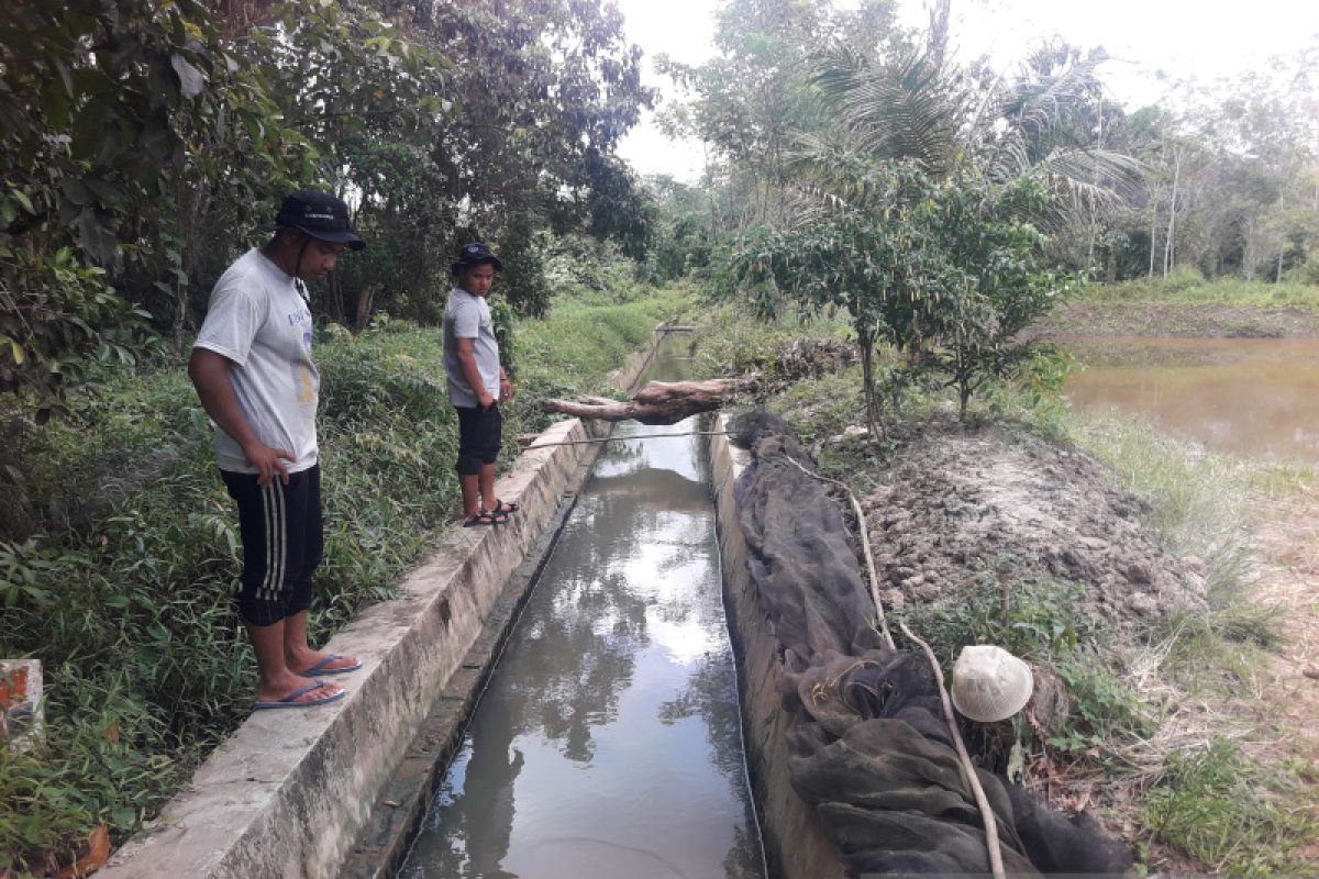 UPR Desa Kambitin Tabalong usulkan renovasi cekdam