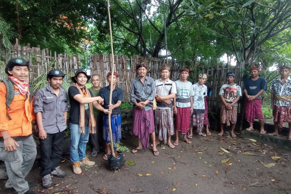 Pemerhati lingkungan menghijaukan hutan adat kritis di Lombok Utara