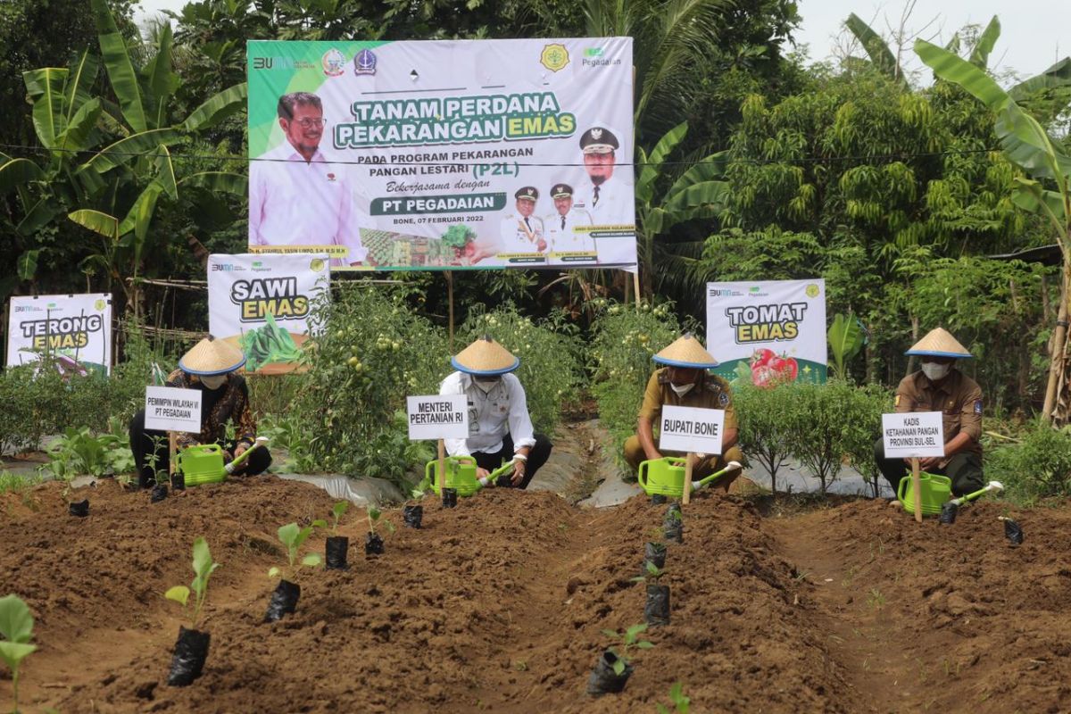 Mentan ajak masyarakat Bone manfaatkan pekarangan rumah jadi produktif