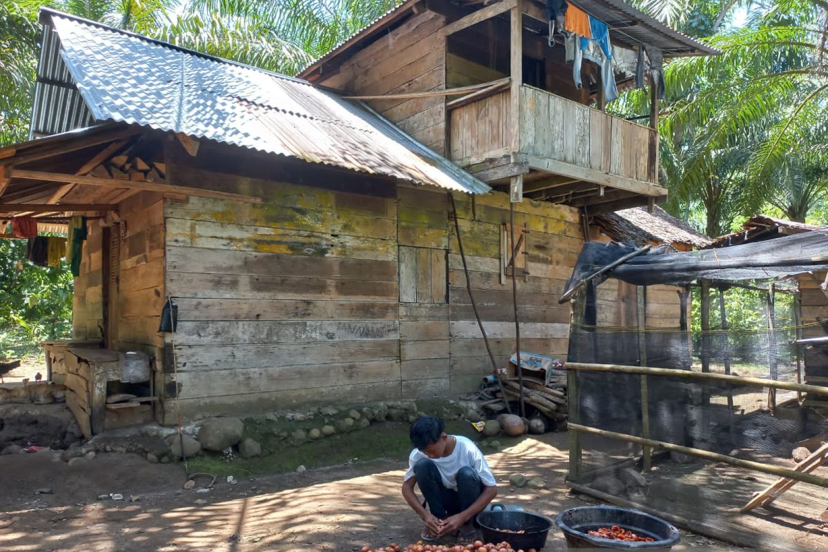 BPS : Potensi miskin struktural di Pesisir Selatan tinggi