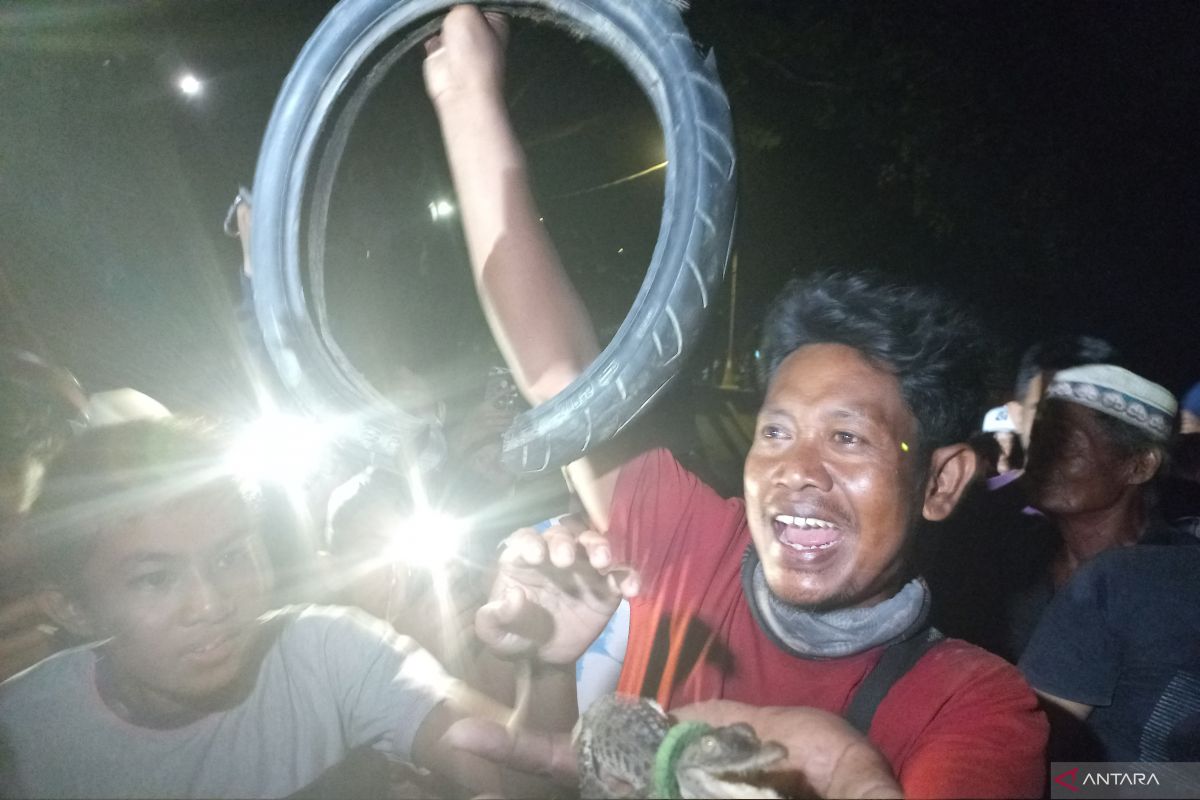 BKSDA Sulteng apresiasi warga Palu keluarkan ban dari leher buaya