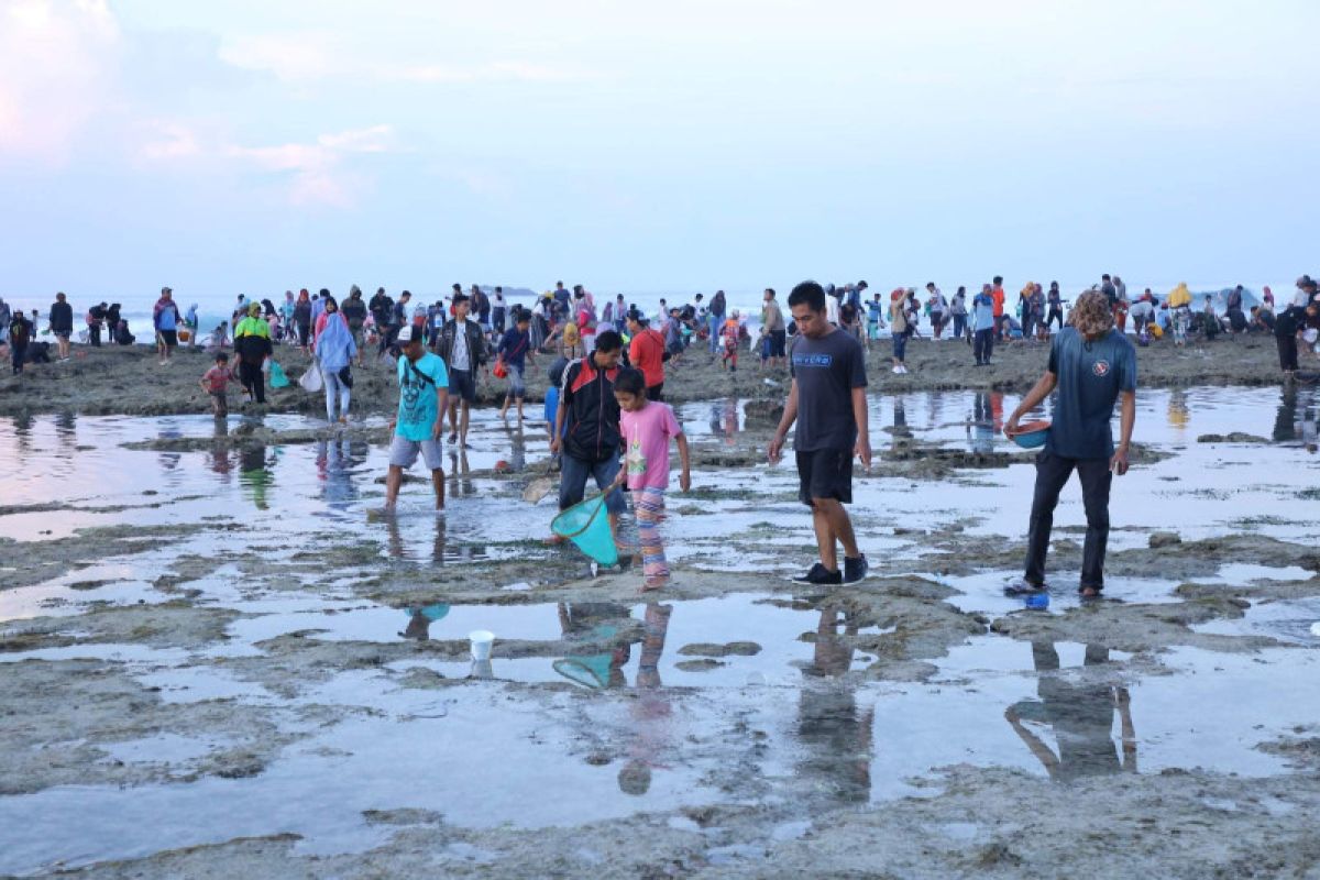 Wabup: Perayaan Bau Nyale dipusatkan di Pantai Tanjung An