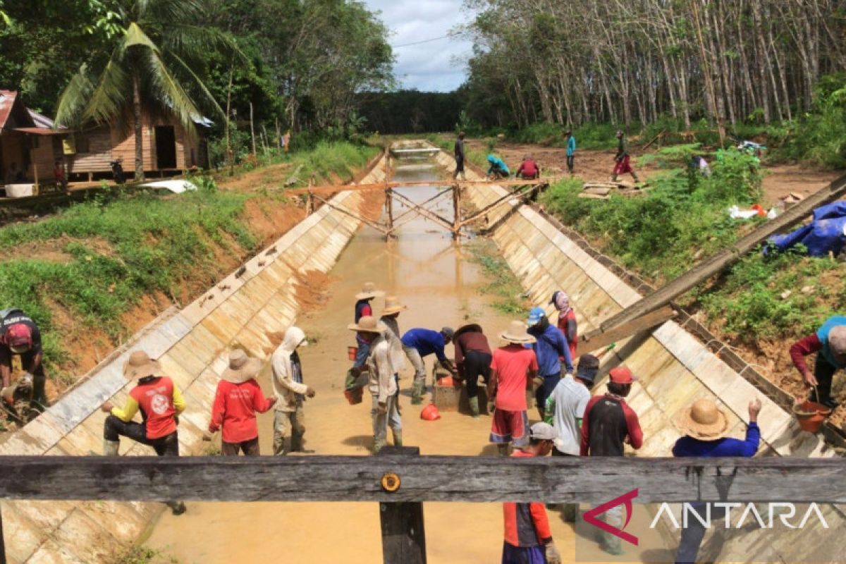 Jaringan irigasi Tapin Kalsel ditarget selesai Desember