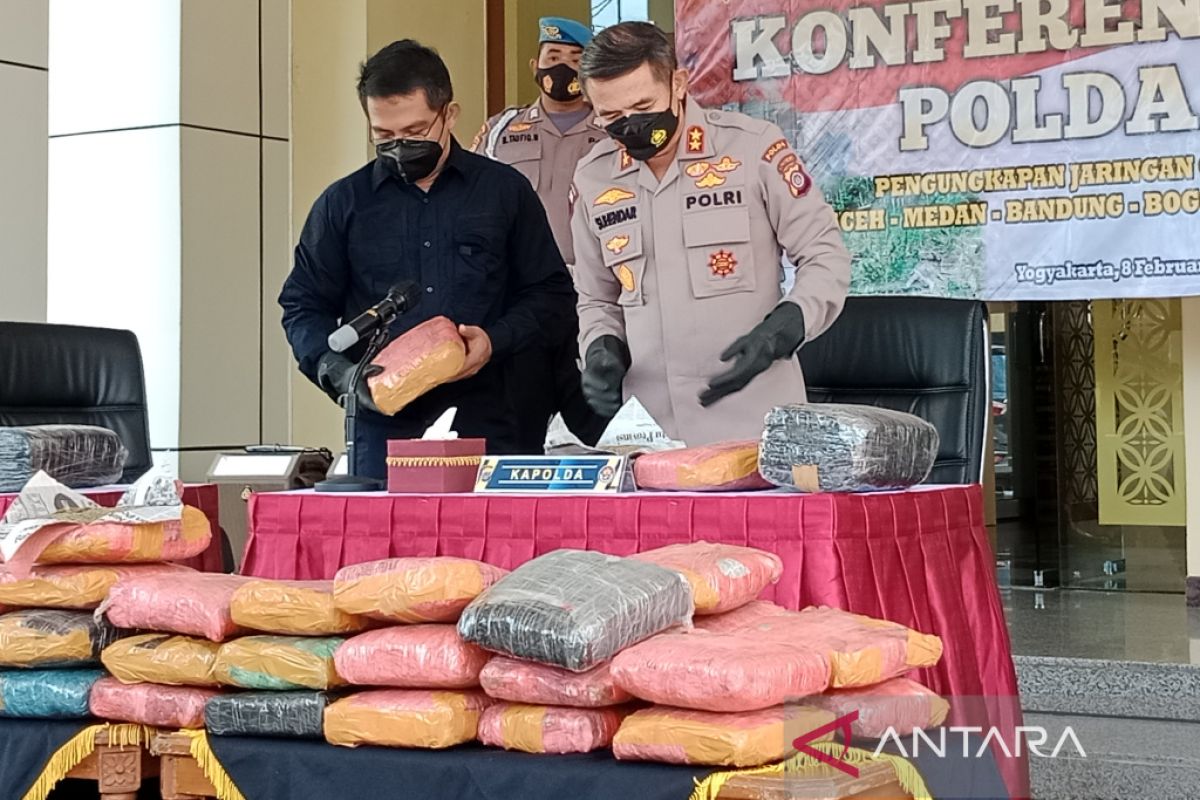 Penanam ganja di Taman Nasional Gunung Leuser terancam hukuman mati