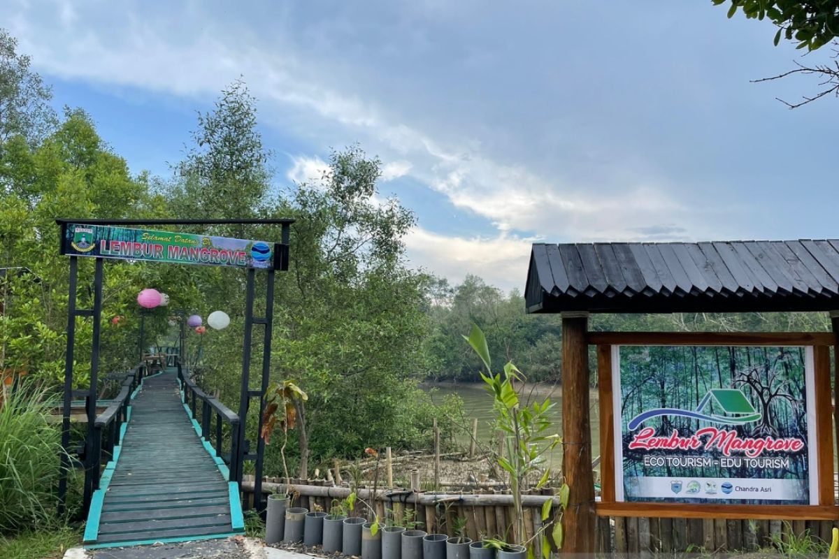 Chandra Asri wujudkan pengembangan berkelanjutan Kawasan Edu- Ekowisata Mangrove Patikang