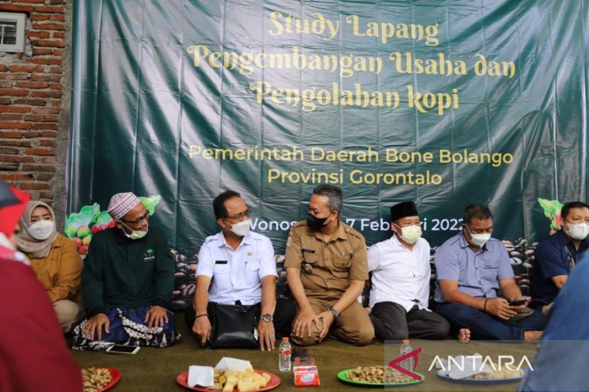 Pemkab Bone Bolango belajar pengembangan pengolahan kopi di Malang