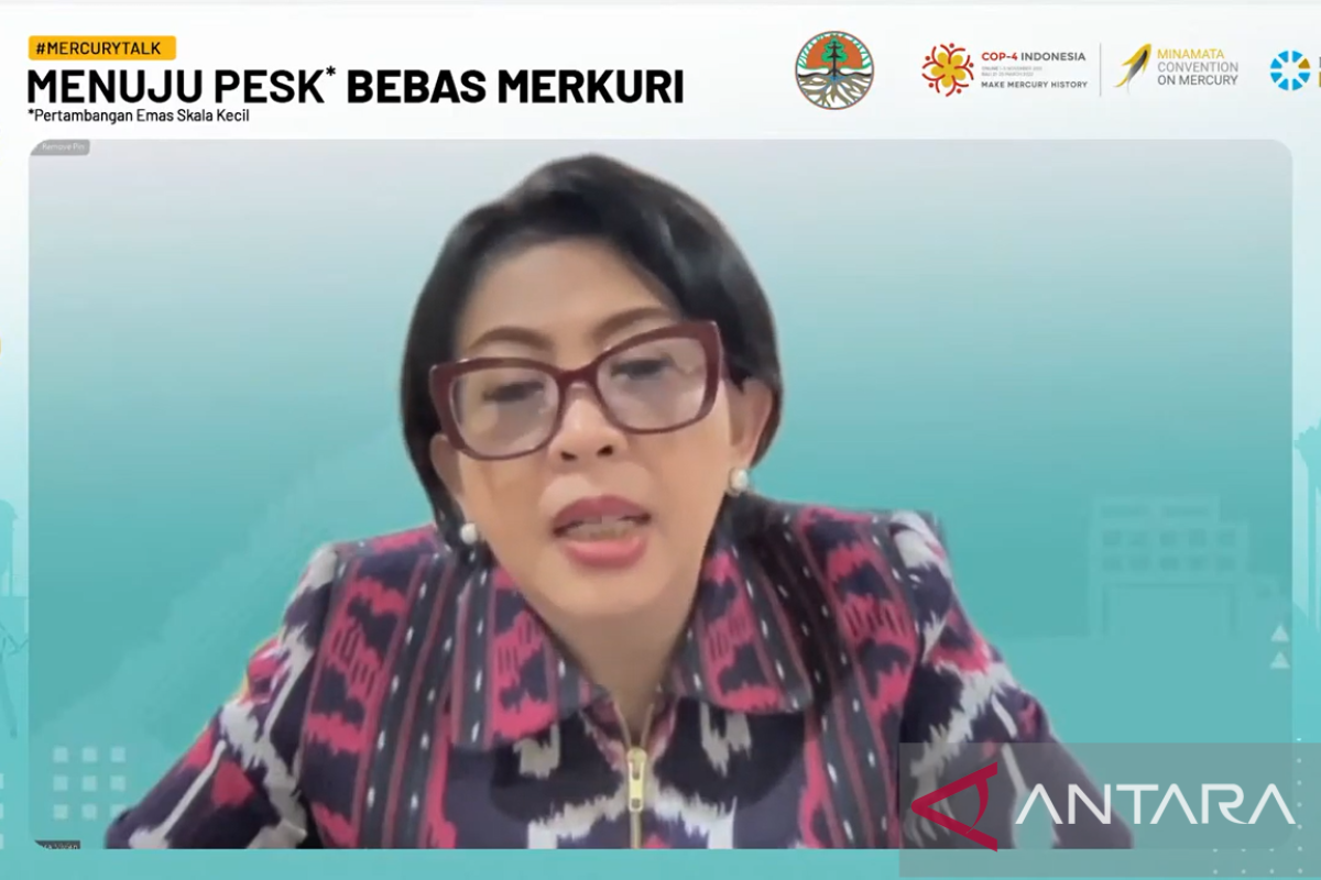 KLHK: Mengatasi PESK ilegal butuh kolaborasi semua pihak