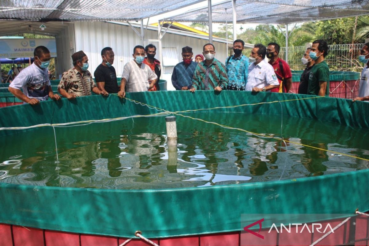 Nilai produksi perikanan budidaya Bangka Tengah Rp18,9 miliar