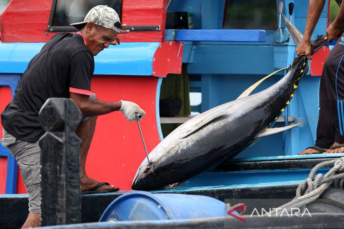 KKP jamin perizinan usaha penangkapan ikan cepat dan permudah nelayan