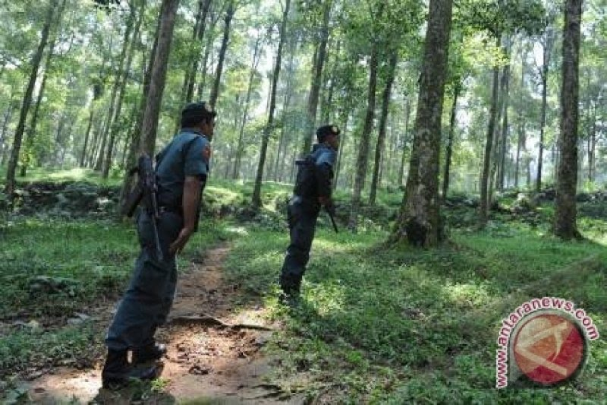 DPRA minta pemerintah pertahankan pengamanan hutan DLHK Aceh
