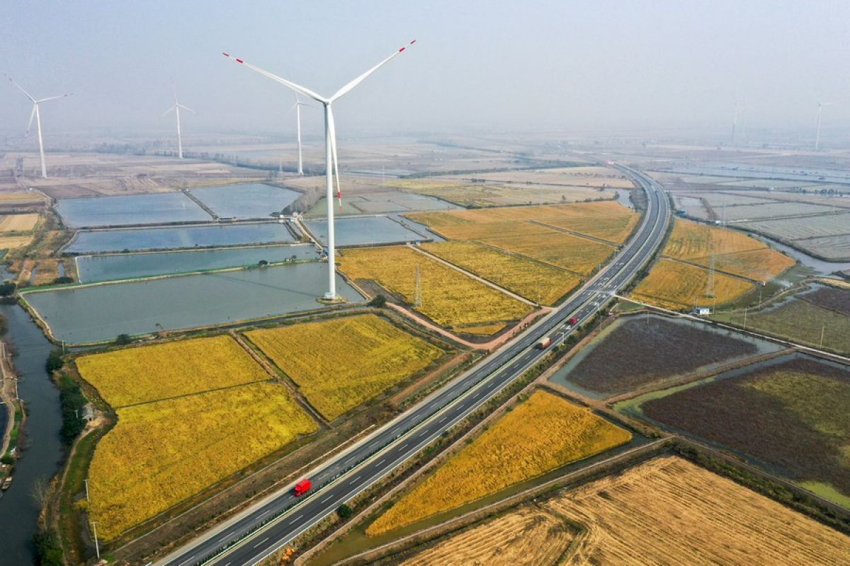 China bakal bangun lebih banyak pertanian ekologis pada tahun 2025