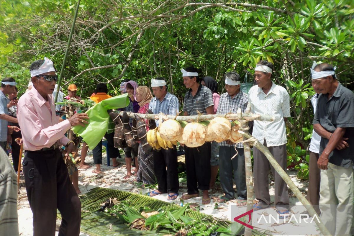 AMAN Bengkulu tolak rencana perkebunan sawit di Pulau Enggano