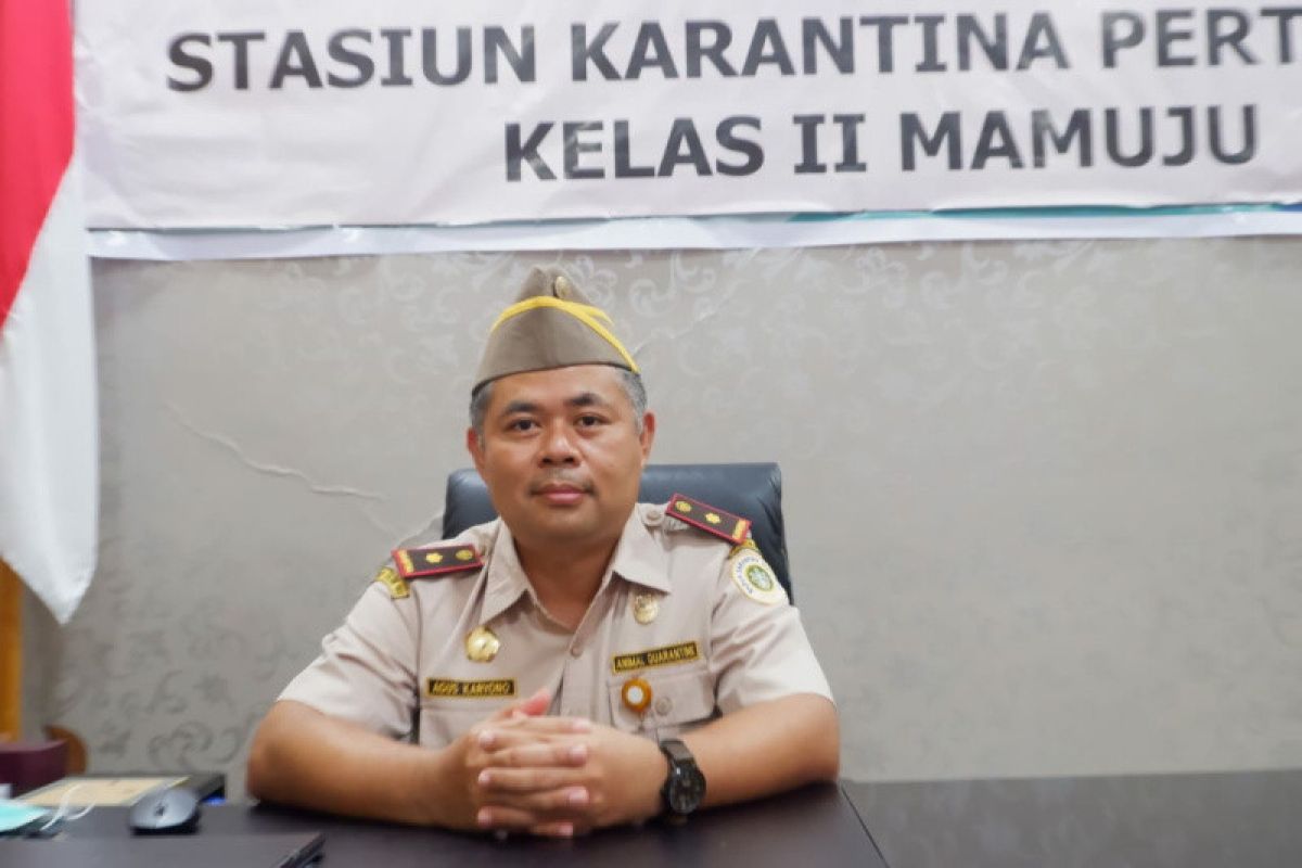 Karantina Pertanian Mamuju sertifikasi 2.662 kilogram SBW