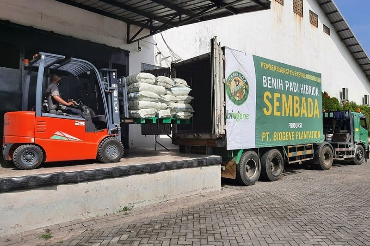 Indonesia ekspor 10 ton benih padi Sembada ke Brunei