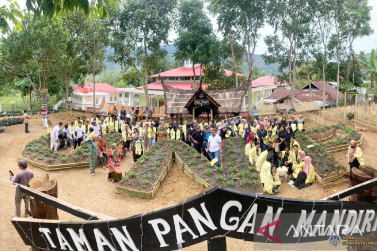 Mahasiswa UNP akhiri KKN dengan dirikan Taman Pangan Mandiri di Kabupaten Solok