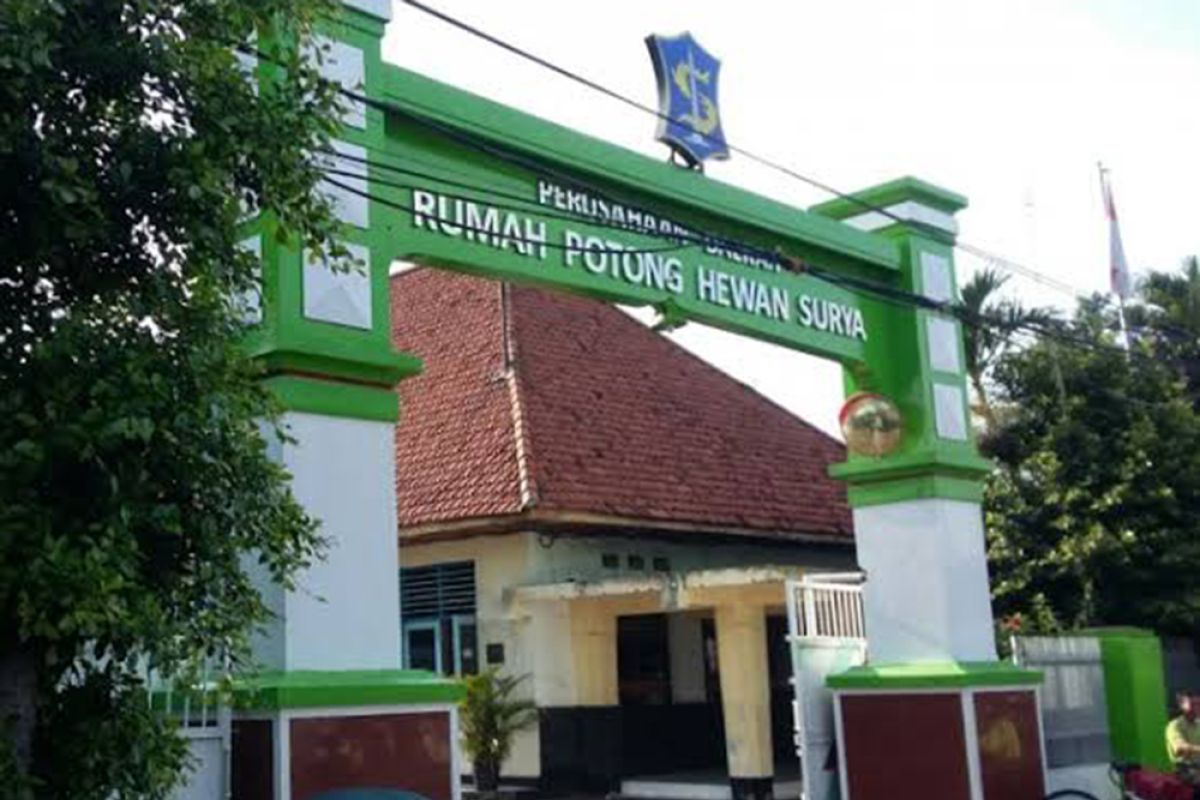 Tempat untuk relokasi RPH Pegirian Surabaya menuai sorotan