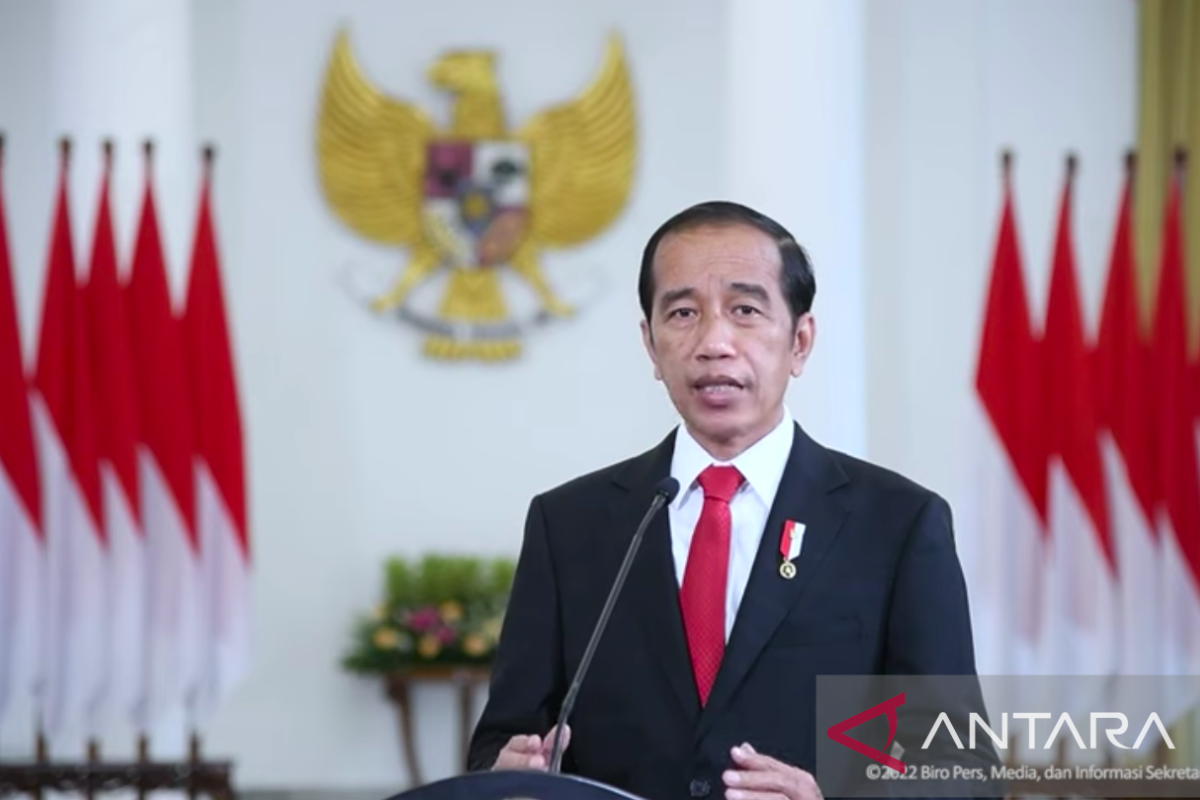 Presiden: G20 Indonesia angkat pentingnya ekonomi/karbon biru