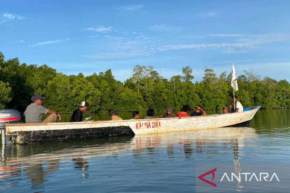 Efforts to achieve Indonesia's mangrove rehabilitation target