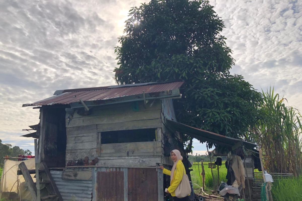 Ini warga Aceh jaya yang tinggal di gubuk