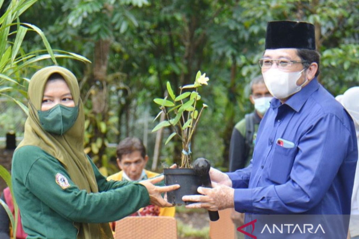 Tahura Sultan Adam terima anggrek spesies langka endemik Kalimantan