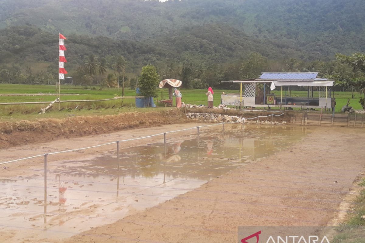 Menikmati angin sepoi di tepi sawah, sambil kulineran di Desa Jaro