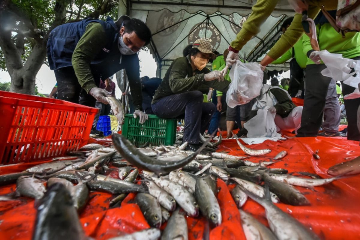 DKPP Kota Surabaya bagikan hasil panen ikan bandeng ke warga MBR