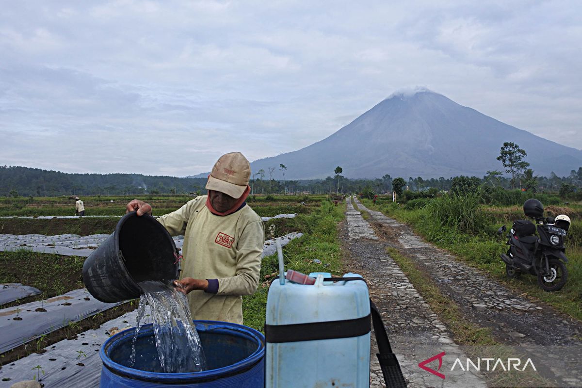 Aktivitas Gunung Semeru masih didominasi letusan