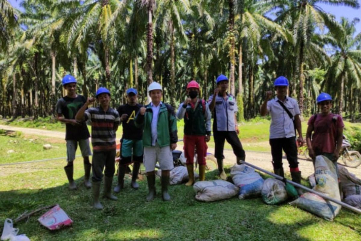 Mahasiswa Polbangtan Medan magang di perusahaan sawit terkemuka