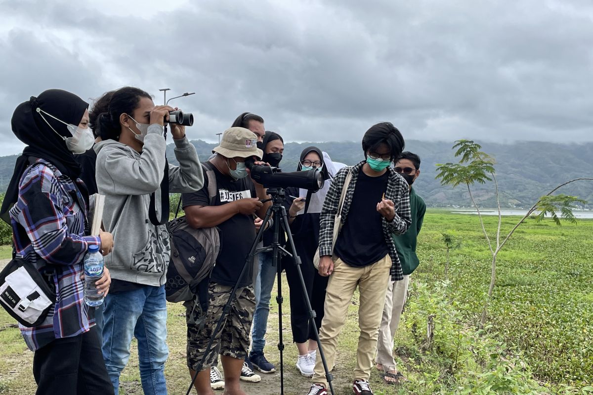 Tiga lembaga melakukan sensus burung air di Danau Limboto Gorontalo