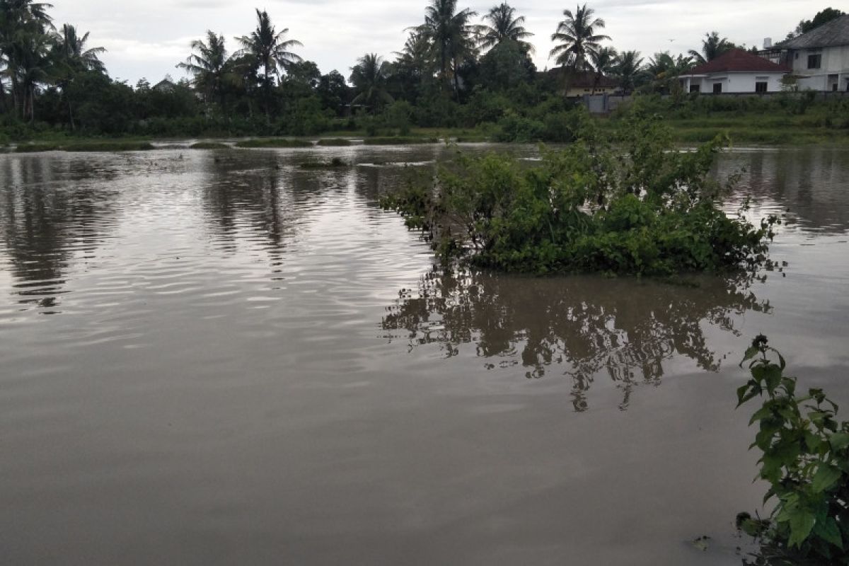 Ratusan rumah warga di Lombok Tengah tergenang banjir