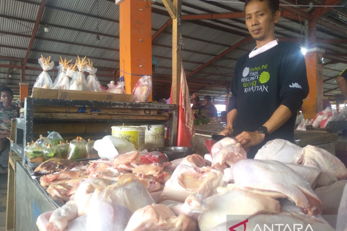 Harga daging ayam di Timika tembus Rp43.000 per kilogram