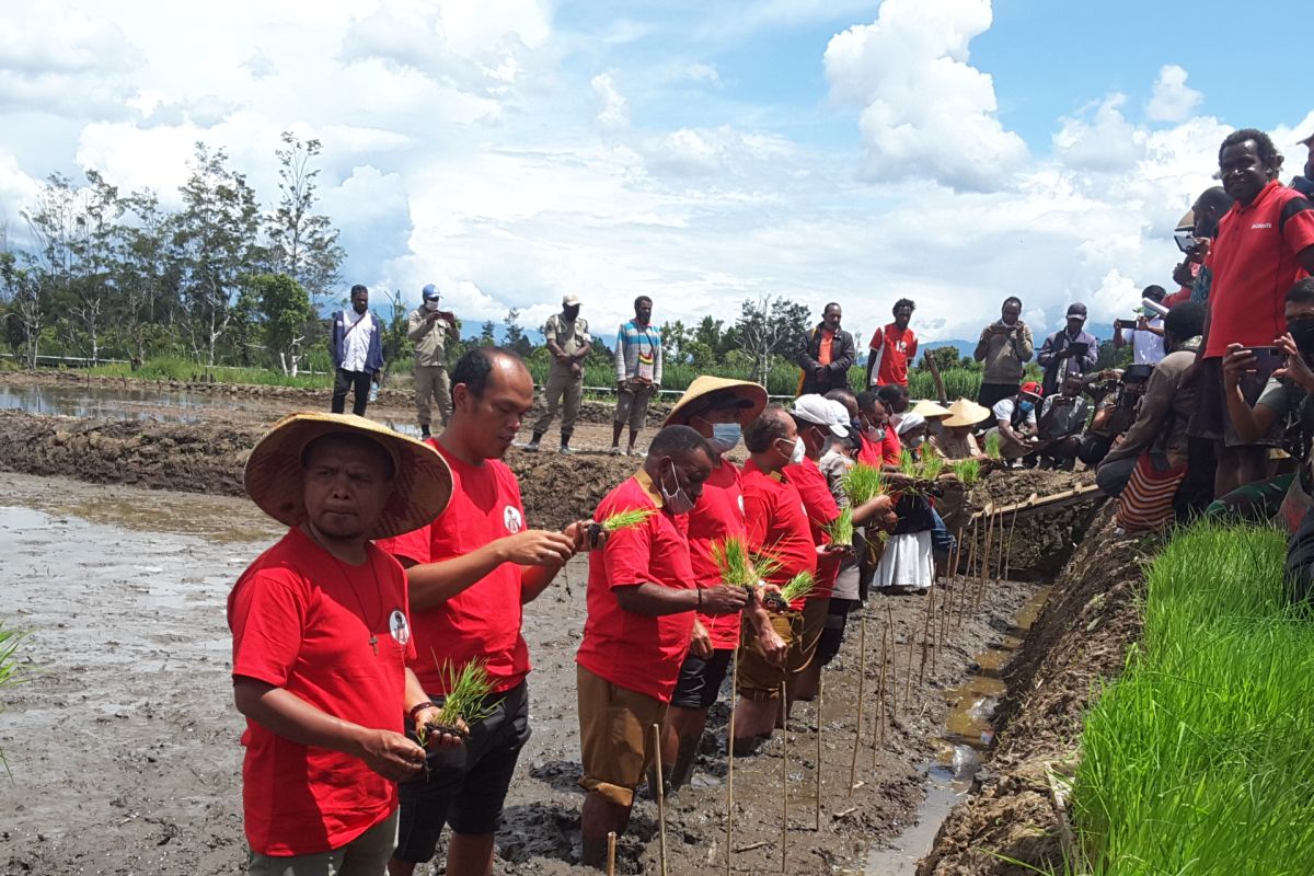 Pemkab Jayawijaya apresiasi tokoh Katolik ajak warga bertani padi