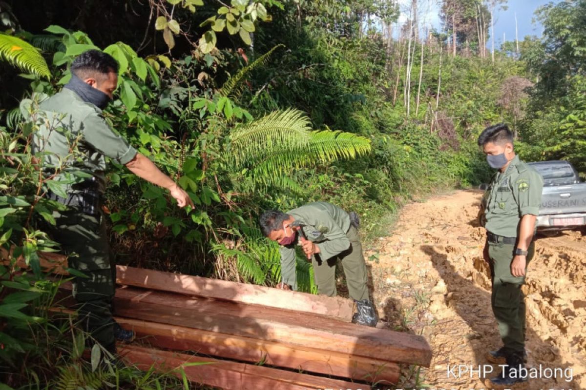 KPH Tabalong berhasil amankan tujuh kubik kayu ilegal