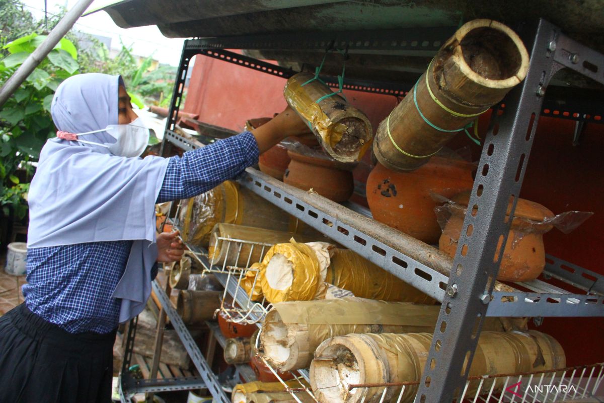 Peternak Lebah Madu Klanceng