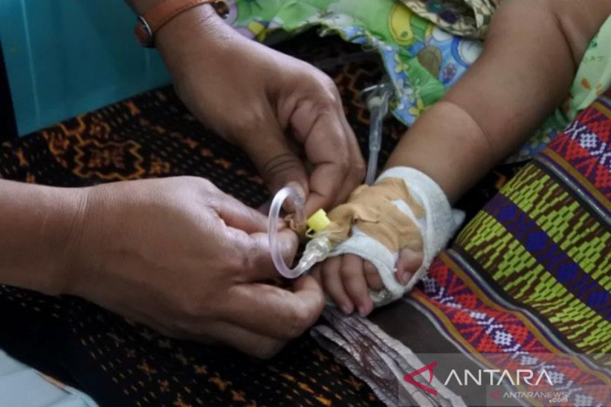 104 warga terserang, Sumba Barat Daya-NTT tetapkan KLB demam berdarah