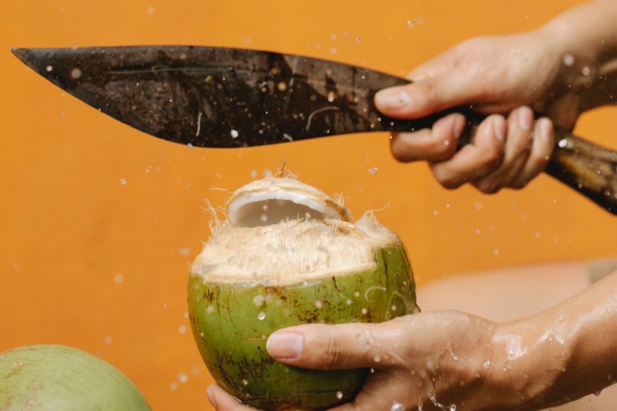 Khasiat air kelapa menjaga kesehatan tubuh di tengah lonjakan omicron