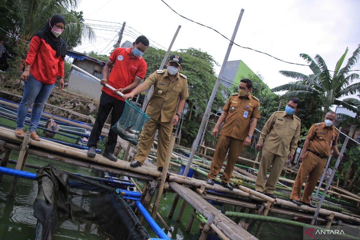 Kelola perikanan, warga Kampung Keramba bisa raup Rp20 juta per minggu